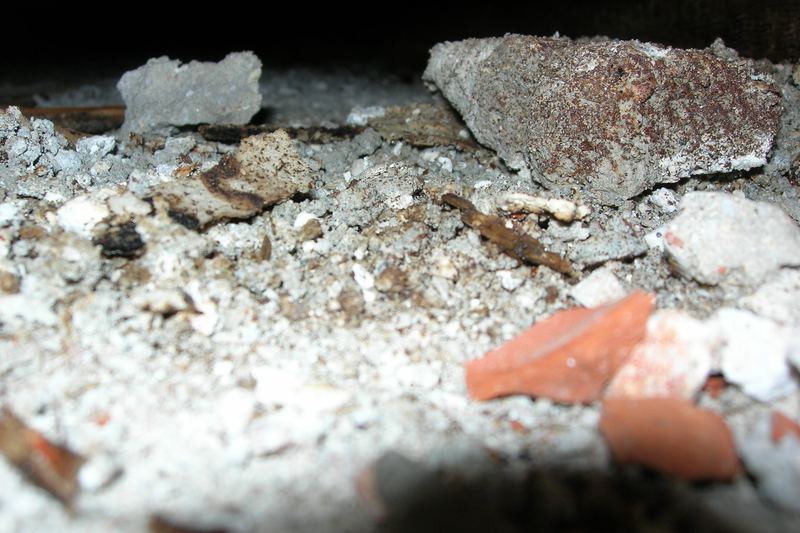 Black mold growing on debris during cleanup