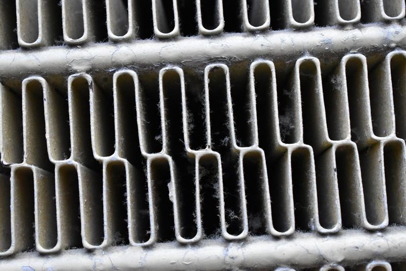 Mould growth on hotel room wall (photo 13)
