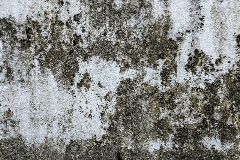 Wall surface with dirt and mould-like staining
